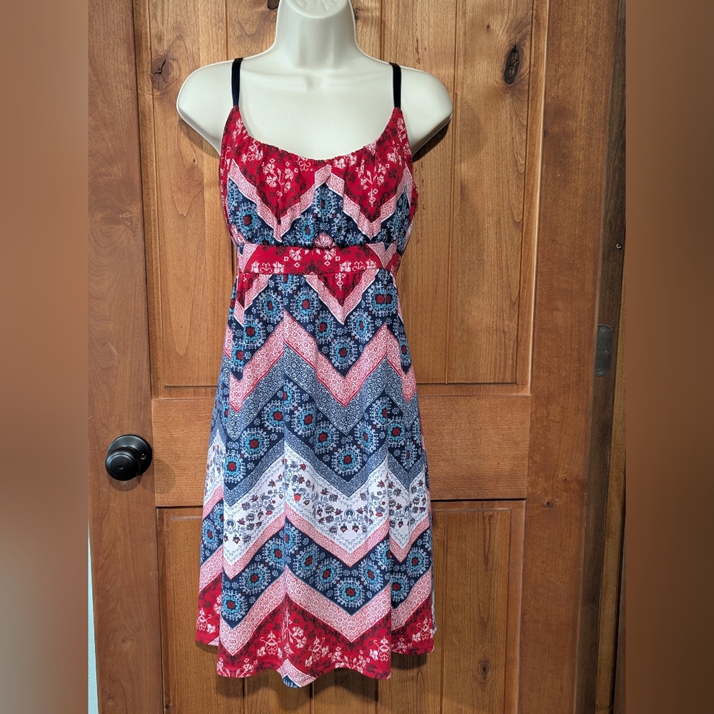Allison Brittney Red and Blue Dress